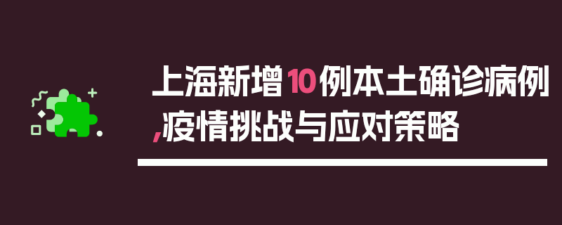 上海新增10例本土确诊病例，疫情挑战与应对策略