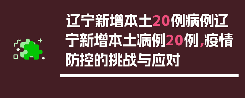 辽宁新增本土20例病例辽宁新增本土病例20例，疫情防控的挑战与应对